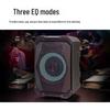 Philips SD308 Portable Bluetooth Karaoke Speaker CN plug (adapter included)
