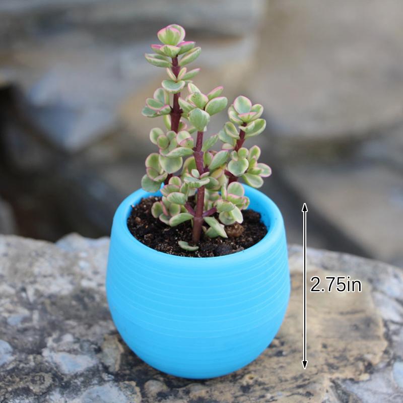 6 Packages Of Succulent Flower Pots Mini Stone Ball Pots Multi-Color Optional Thickened Resin Plastic Pots