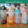 700ml Hexagonal Plastic Cup With Locking Mechanism And Convenient Carry Handle Gradient Colors Available