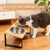 Elevated Cat Bowls 15° Tilted Raised Cat Food Bowls with Wooden Stand Anti Vomiting 2Stainless Steel Bowls for Cats and Puppy
