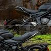 Arm Rests For Trident660 TRIDENT 660 2021 2022 2023 2024 Motorcycle Aluminum Tail Armrest Rear Kit Pillion Passenger Handle