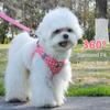 Stylish Polyester Dog Harness Leash Breathable Cat Chest Strap Cartoon Pet Chest  Vest  Kitten