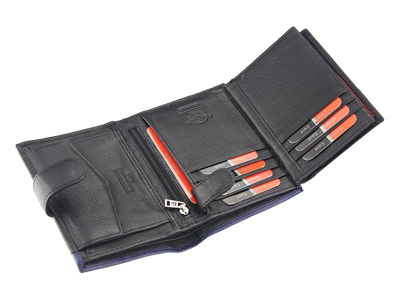 Skórzany męski portfel Pierre Cardin SAHARA TILAK14 326A