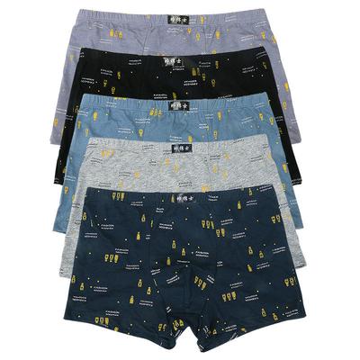 5pcs/set Cotton Printed Men's Pure Cotton Flat Angle Plus Fertilizer To Increase Loose Breathable Bottom Pants