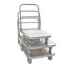 OIMG 201 Stainless Steel Flatbed Cart