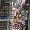 BITCED Moda feminina casual cor sólida estampa verão primavera sem mangas suspensórios calças macacões e macacões
