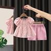 New Summer Baby Clothes Suit Girls Cute T-Shirt Shorts 2Pcs/Sets Kids Children Clothing Toddler Casual Costume Infant Tracksuits