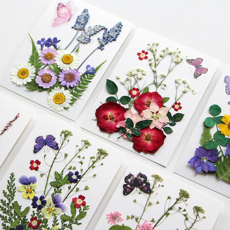 Diy Handmade Embossed Bookmarks 6 Colors Dried Flower Embossing Kit Dried Flower Hand Paste Face Makeup Leaf Veins Dried Flowers