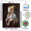 5D DIY Diamond Painting Animal Horse  Cross Stitch Diamond Art Embroidery  Mosaic Home Deco