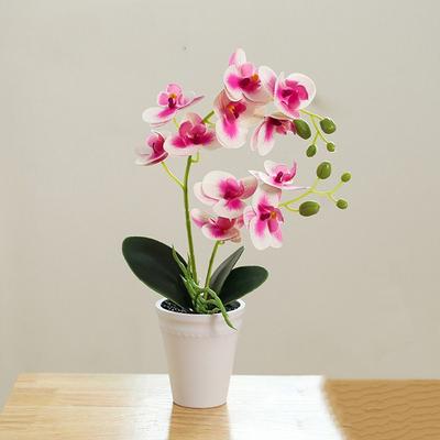 Real Touch Artificial Orchid Bonsai Potted Vivid Artificial Orchid Flower  Garden Home Decoration