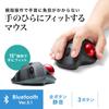 Sanwa Supply Bluetooth Trackball, Quiet, 3-Button, Optical, MA-BTTB130BK