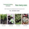 Disposable Seedling Grow Bags/Pots