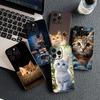 Cover for Samsung Galaxy S10 S8 S9 Plus A33 A34 A31 70 A71 A72 Note 20 9 8 S10E Casing Phone Case Cartoon Cat Meow Kitten