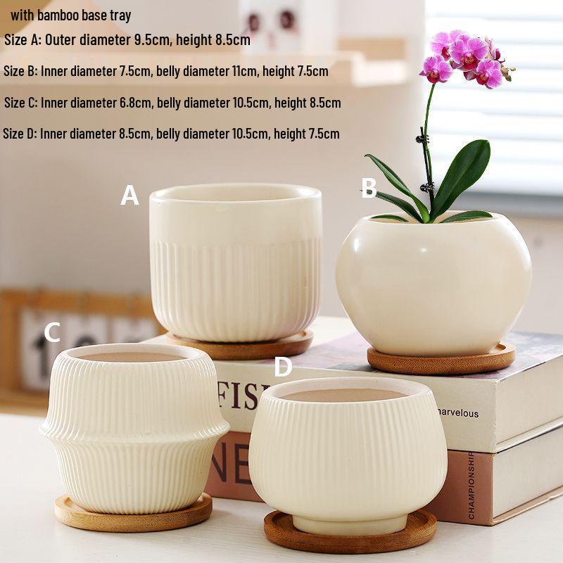 Ceramic Flower Pot with Tray for Orchids and Succulents