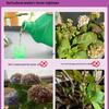 Concentrated Hydrangea Fertilizer Spray for Potted Plants