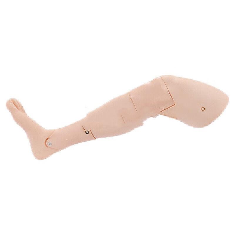 Tibial Puncture Simulation Training Module