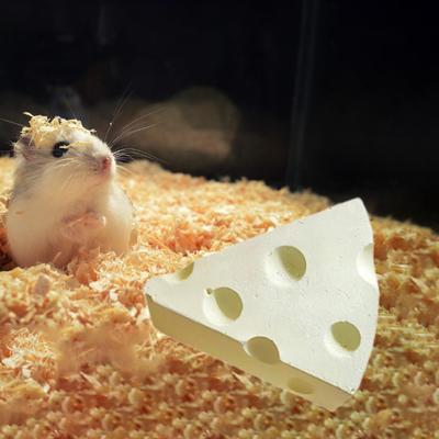 Hamster Grinding Stone Cheese Chew Toy Rabbits Guinea Pig Supplies for Twigs
