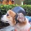 Small Pet Helmet with Ear Hole Motorcycle Dog Helmet Multi-sport Dog Outdoor Bike Puppy for Dogs and Dropshipping