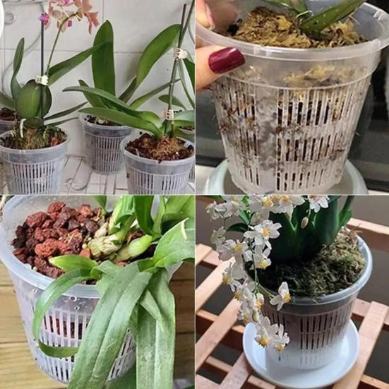 Orchid Flower Pot Clear Orchid Pot with Drainage Holes Raised Bottom Breathable Slotted Plant Pot