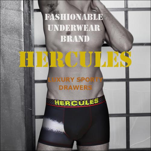 

[Hercules Underwear] Белая линия Роскошные спортивные плавки HB2DR116M1 [Отправка из Кореи] 100% Оригинал 95