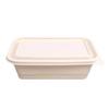 Biodegradable Rectangular Takeout Boxes