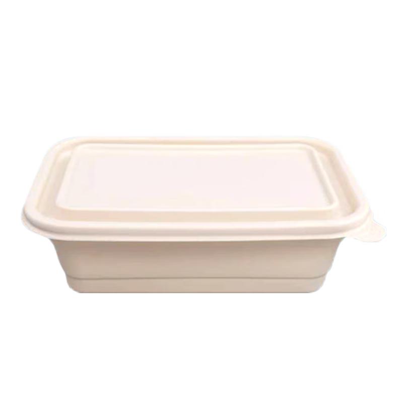 Biodegradable Rectangular Takeout Boxes