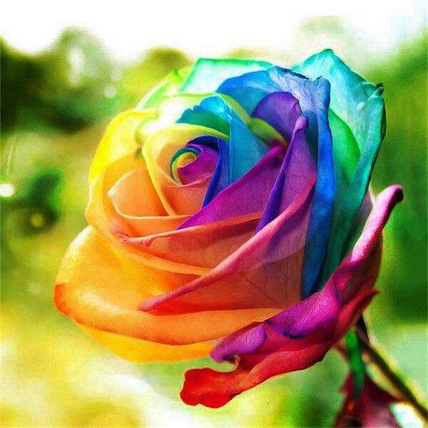 50X50CM 5D Diy Diamond Embroidery Sale Rose Pictures Of Rhinestones Diamond Art Painting Kits Flower Mosaic Handmade Gift