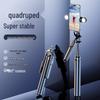 Accesorii pentru telefoane – Selfie stick-uri
