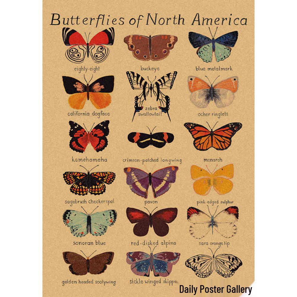 Retro Schmetterlings-Illustrationsposter: Handbemalte Tier-Wandkunst im Vintage-Stil, europäisch & amerikanisch