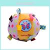 Baby Soft Plush Rattle Ball With Grasping Training For Newborn Sensory Development