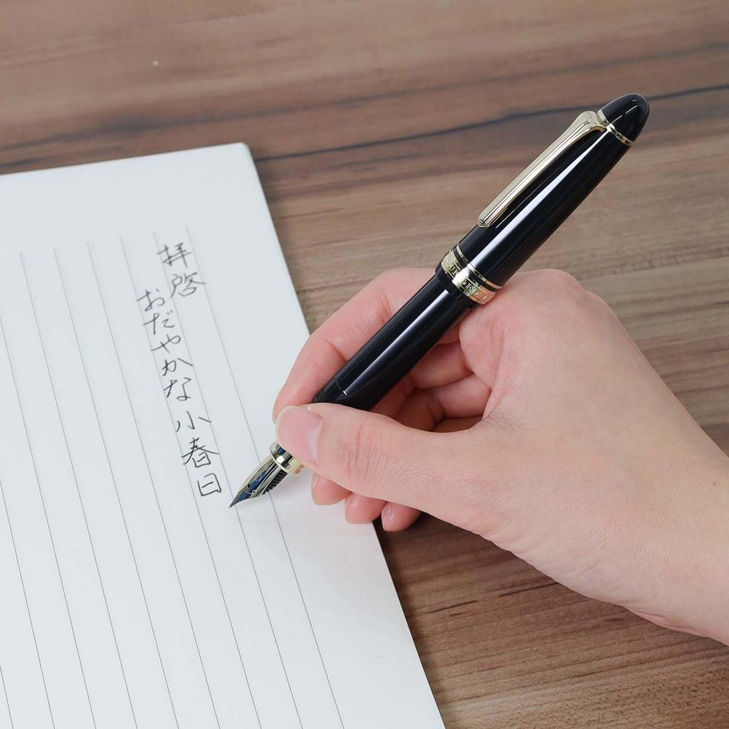 Sailor Profit Casual L Stable Fountain Pen, Clear Black, Medium-Fine Nib, Gold Trim, Made In Japan