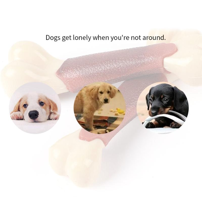 Dog Chew Toy for Aggressive Chewers for Tough Nylon and Rubber Bone Toy Beef Flavor Toothbrush for Small Dogs Teething
