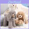 Teddy Dog Plush Toy With Long Fur For Kids And Adults Soft Pillow Gift