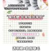 Lashie - Volume / Natural Multipack False Eyelashes