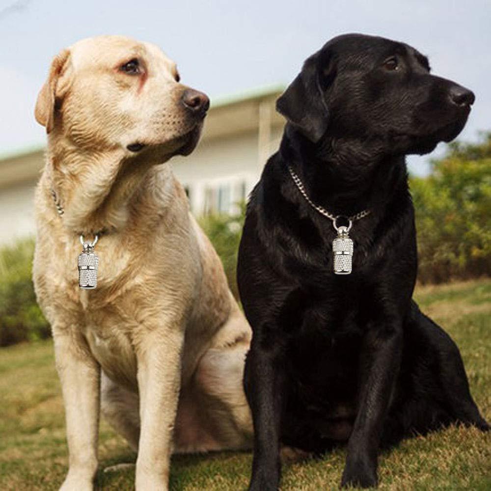 

10Pcs Brass Pet Anti-lost Collar Pendant Dog Cat Identity Address Tag Collar Ornament Type A