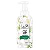 Lux Botanical Fruit Acid Foaming Body Wash, Freesia Scent