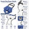 Female Dog Menstrual Pant Anti Disturbance Anti-Pregnancy Safety Pant Adjustable Size Comfortable Breathable Hygienic Pants