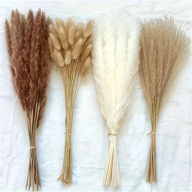 Dried Pampas Grass Boho, Natural & White Dried Plants Pompous Grass Bouquet with Bunny Tails Dried Flowers Bulk Reed Tail Grass