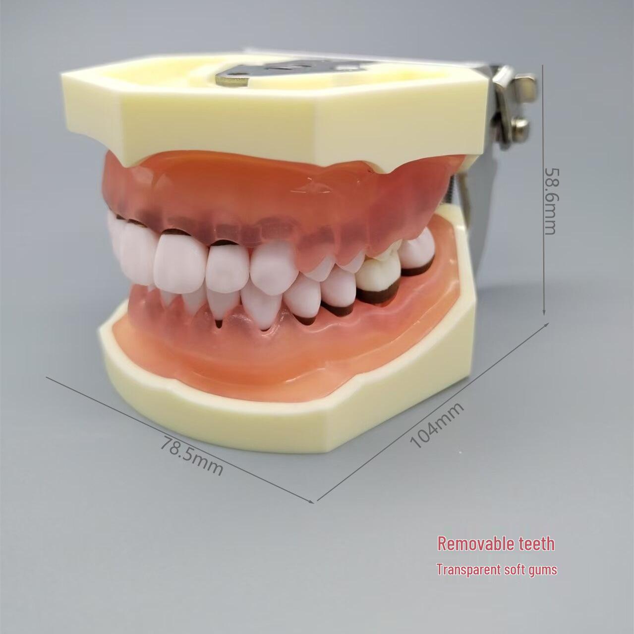 

PH4017 Soft Gum Model for Tartar & Recession Simulation