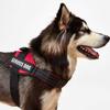 Accept Customise Patches Pet Dog Harness No Pull Reflective Saddle Adjustable Dog Walking For Small Medium And Large Dogs Vest