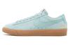 Sb Blazer Low Gt Supreme Canon 716890-009