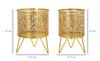 Vase Holderpiny Set 2 Pcs Cm Ø 16X20-13X20