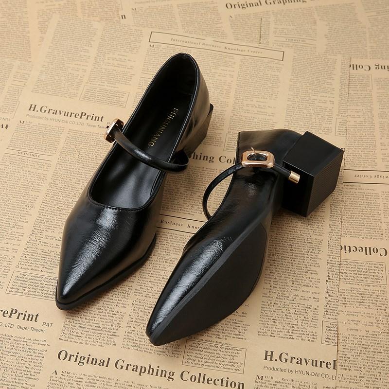Designer Vintage Pointed Toe Women Mary Jane Shoes Fashion Shallow Buckle Shoes Ladies Elegant Dress Thick Heel Shoes