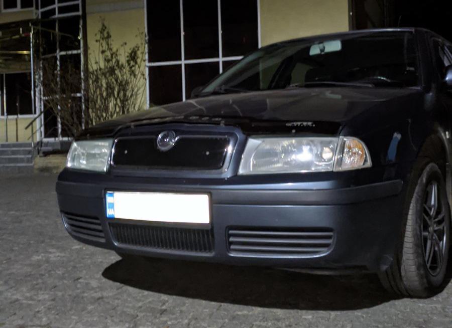 Χειμερινή σχάρα (ανώτερος) Ματ για Skoda Octavia I Tour A4 1996-2010