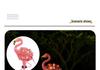 Solar Flamingo Ground Stake Light for Garden Decoration