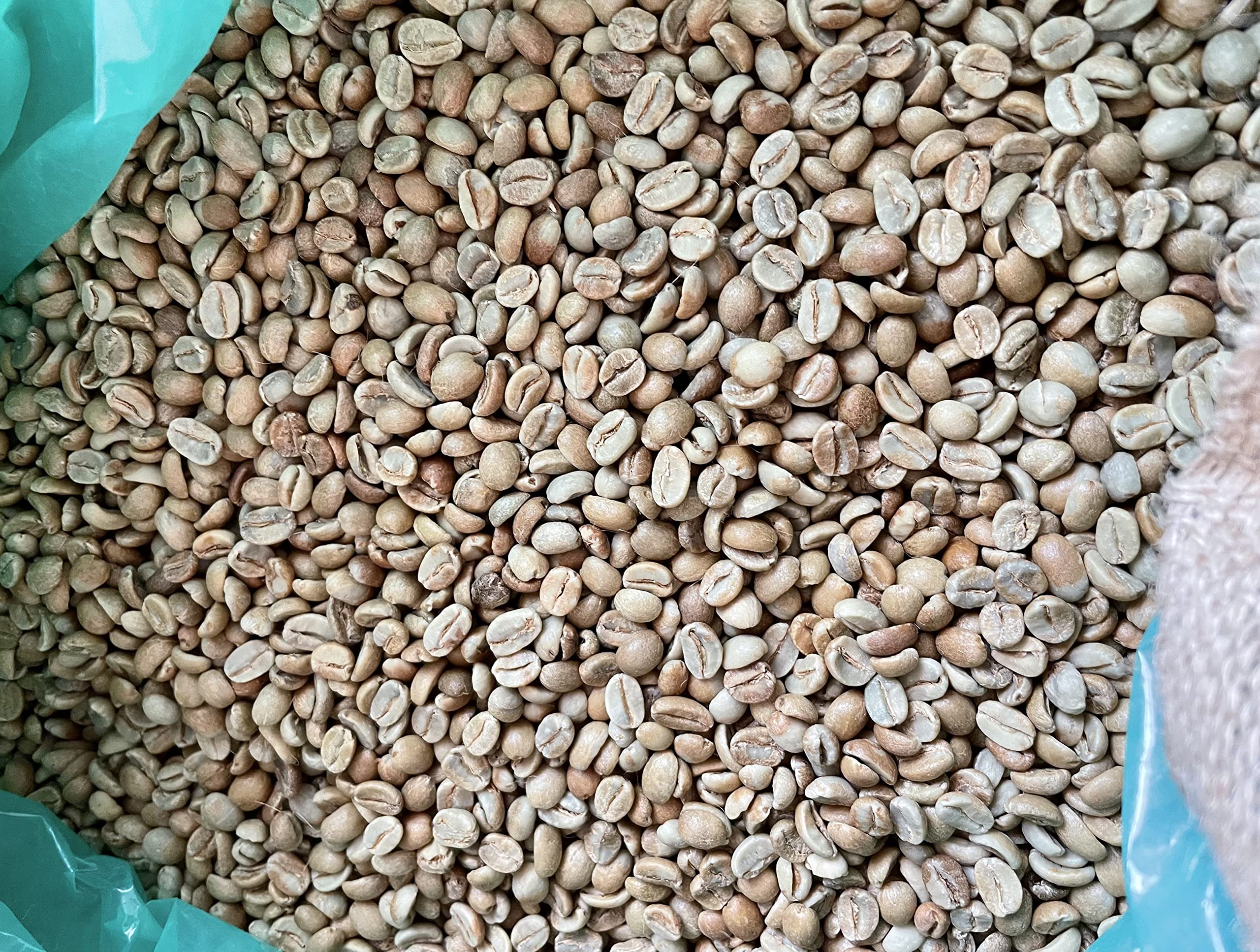 

Coffee Green Beans 1kg Guatemala Oriente Natural Gram Sales heima store [US Premium]