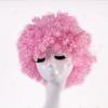 Rainbow Football Fans Wigs Synthetic Wigs Halloween Cosplay Hairs Afro Curly Clown Wigs  Kids