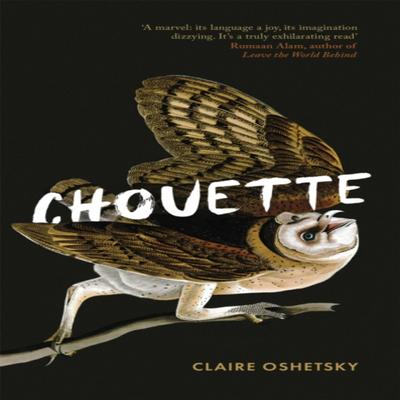 Chouette by Claire Oshetsky Hardback Book 9780349014913