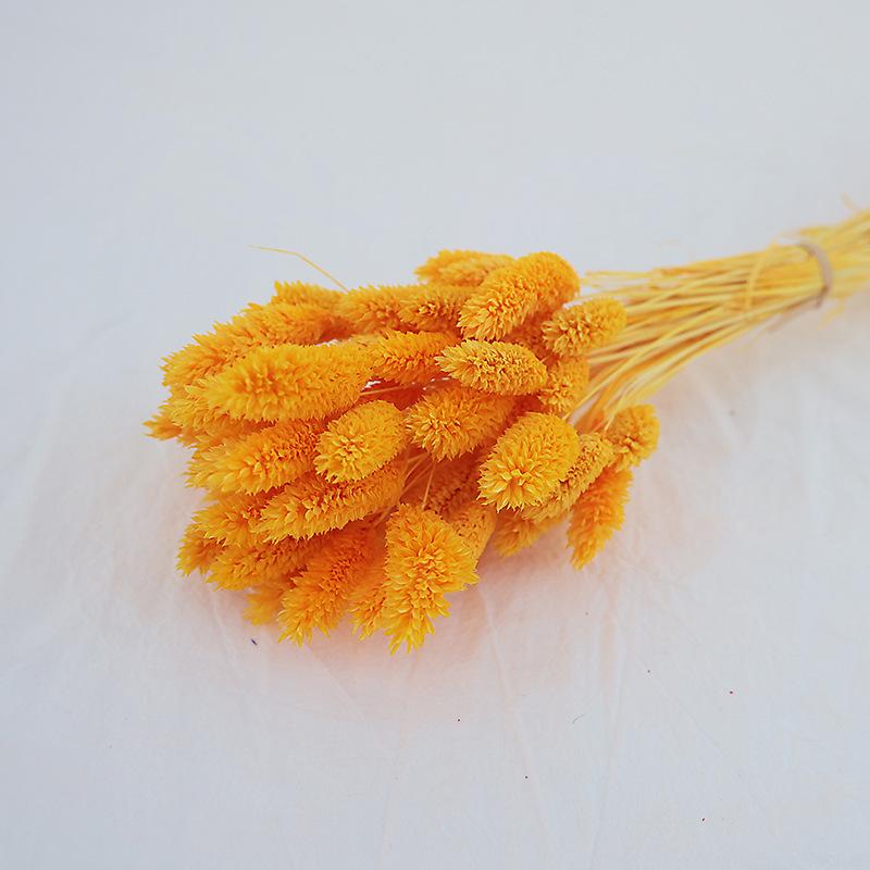 Natural Dried Statice Flower Bouquet - Everlasting Decoration for Vase & DIY Arrangements