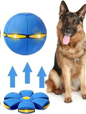 Cani – Giocattoli per cani